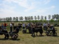/album/menrit-04-06-2011/zeeuwse-menrit-juni-2011-019-jpg/